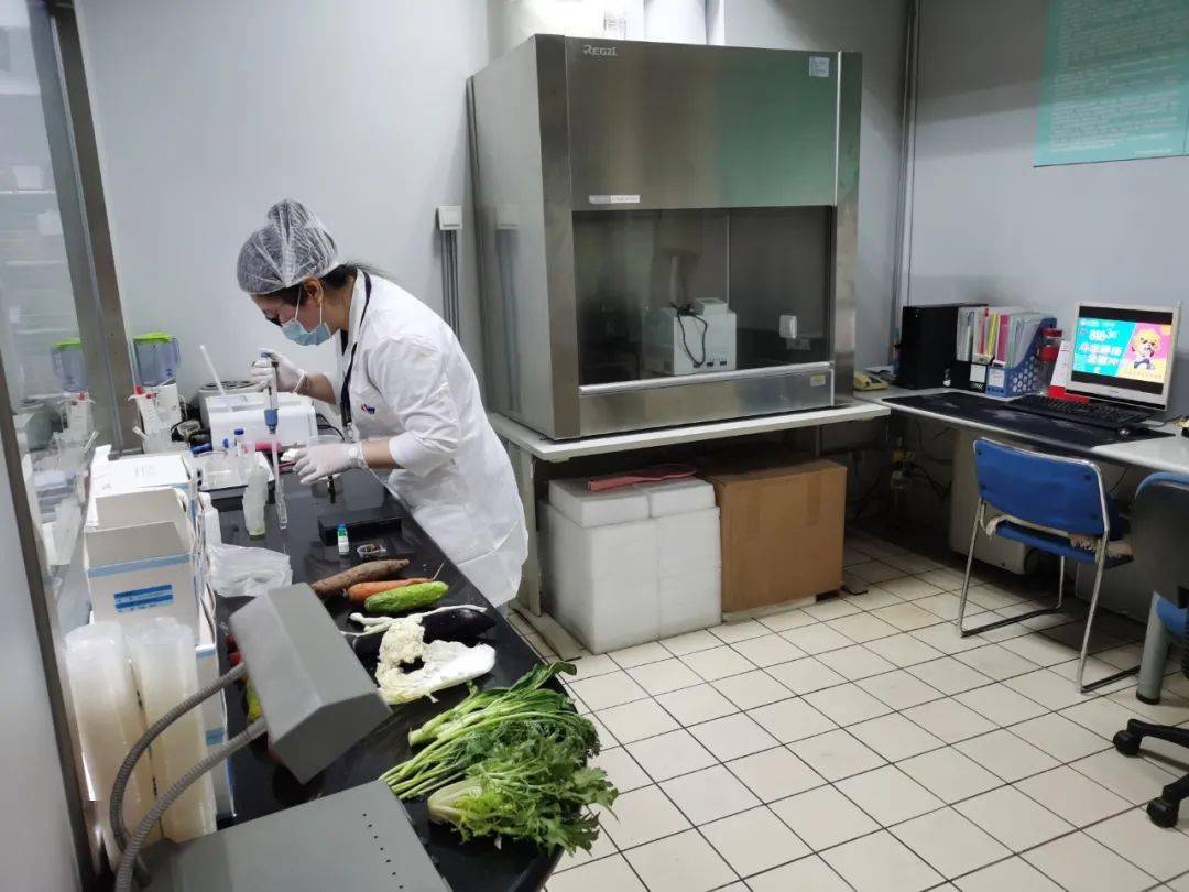 石家庄食品检测实验室装修方案